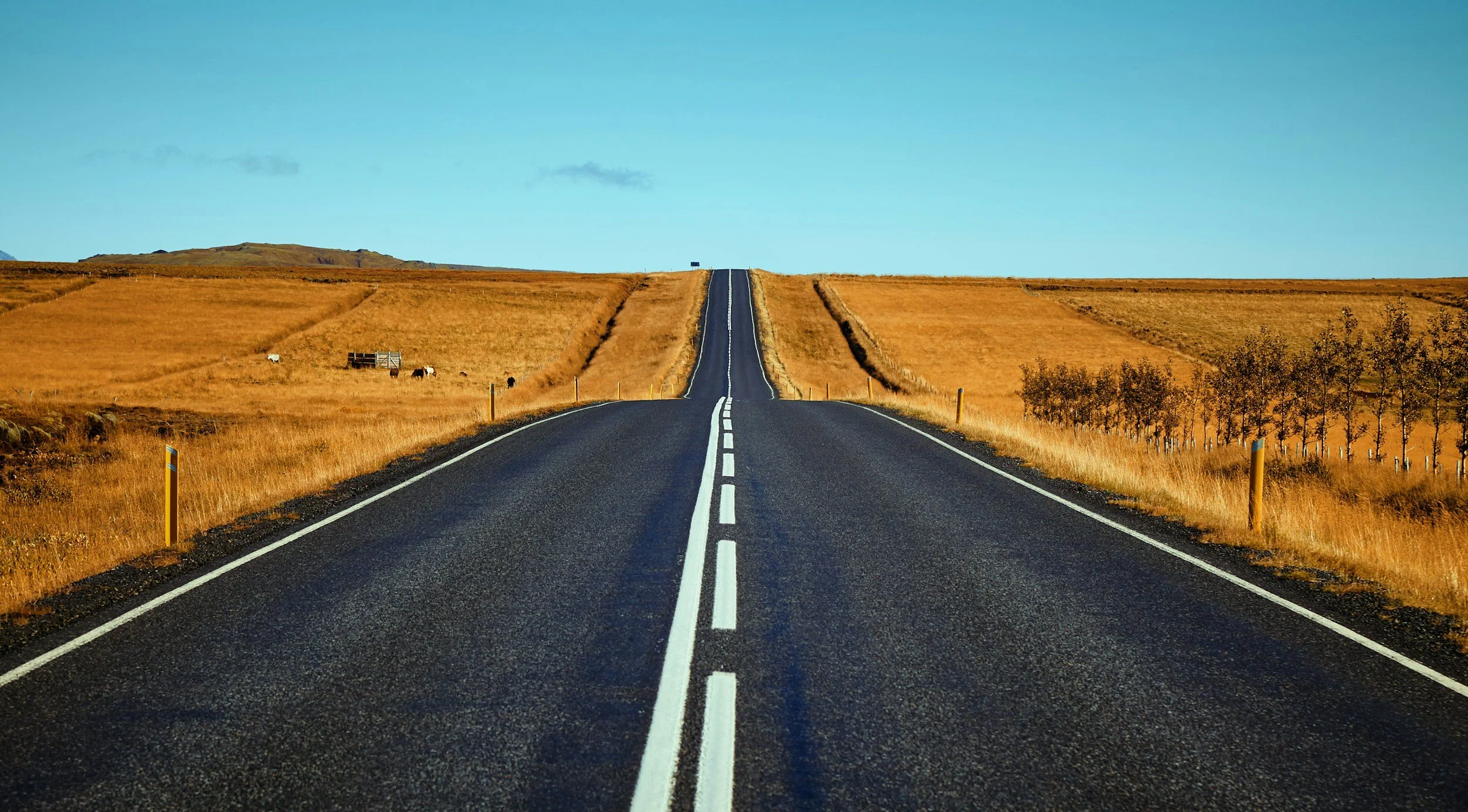 Texas Probate Timeline: What to Expect Month by Month
